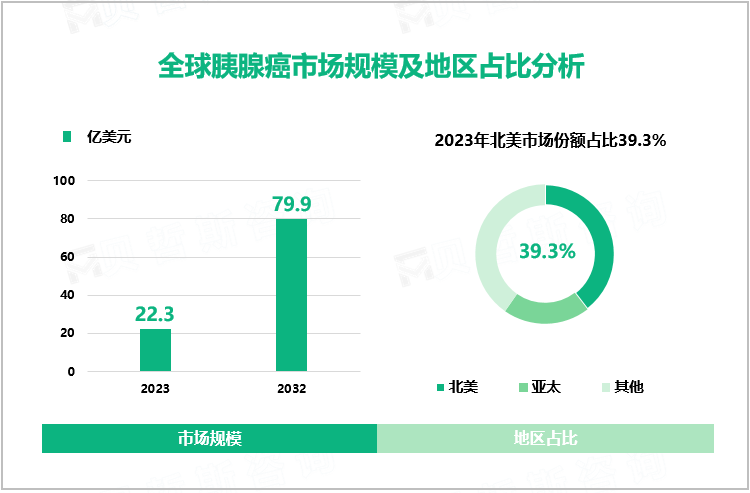 2023年全球胰腺癌市场规模达22.3亿美元，北美市场份额超过39.3%